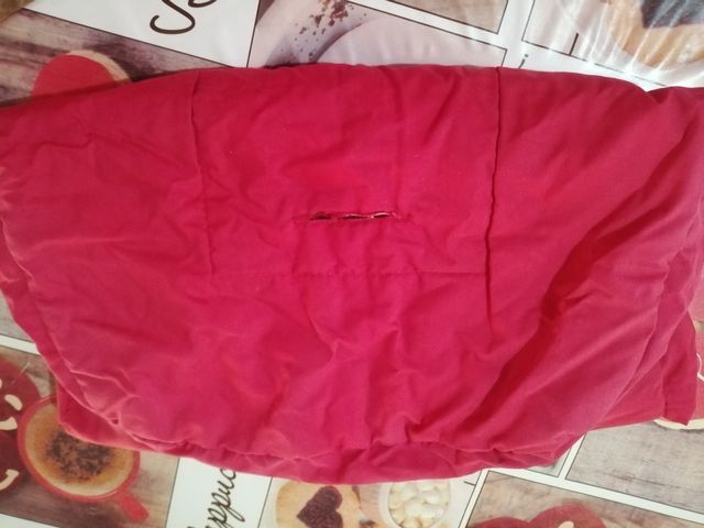 SOMBRILLA DE CARRO (JANE)