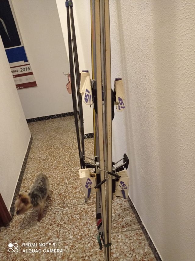 esquis + sus palos 