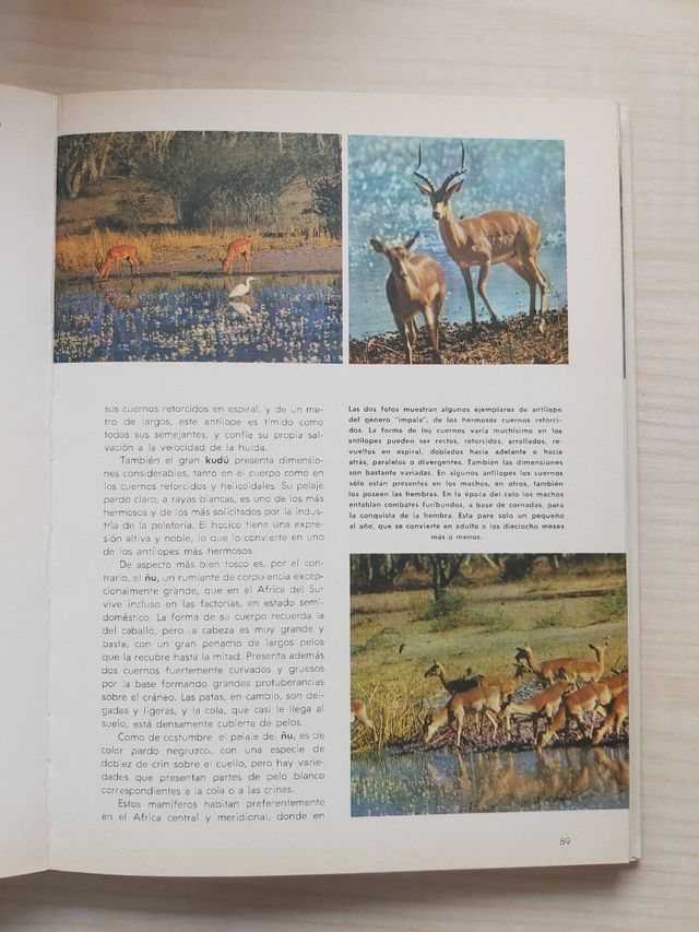 Vida secreta de los animales de Walt Disney