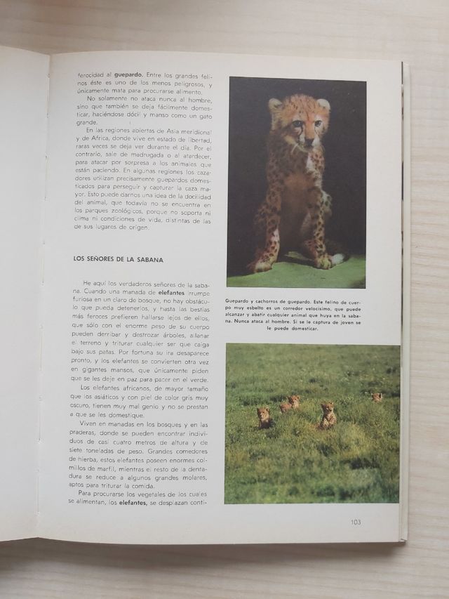 Vida secreta de los animales de Walt Disney