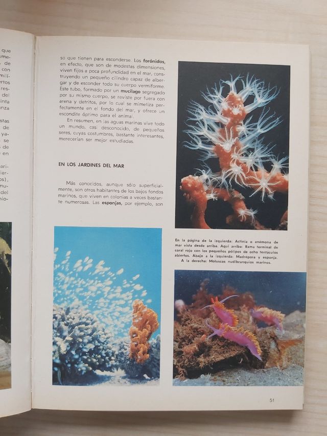 Vida secreta de los animales de Walt Disney