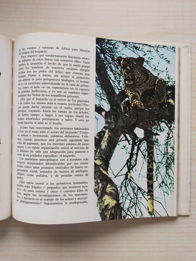 Mis amigos los animales de Félix Rdez de la Fuente