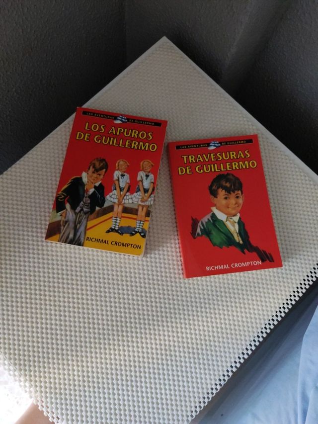 Las aventuras de Guillermo