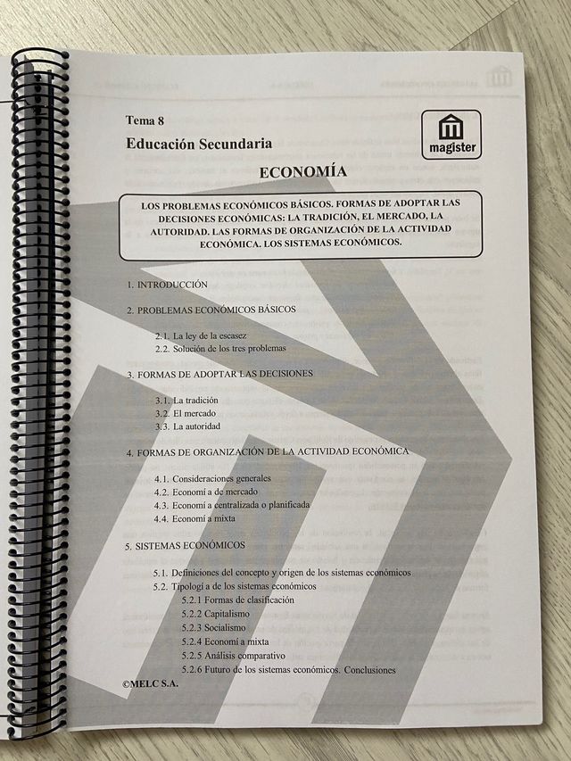 Temas y supuestos prácticos Economía Magister