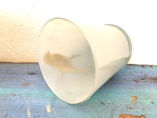 Antiguo jarrón de cristal blanco opalino.