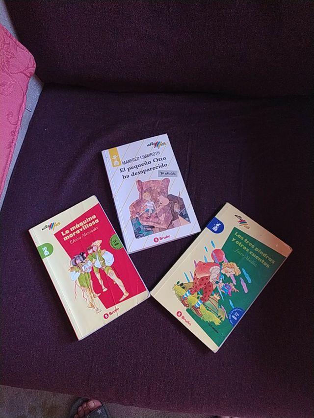 LOTE LIBROS JUVENILES