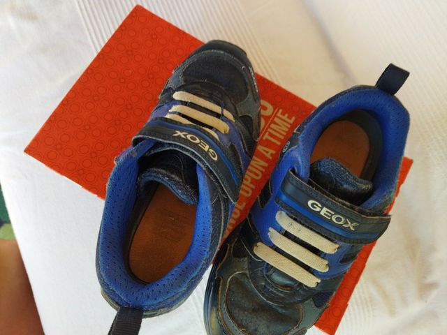 zapatillas Geox niño