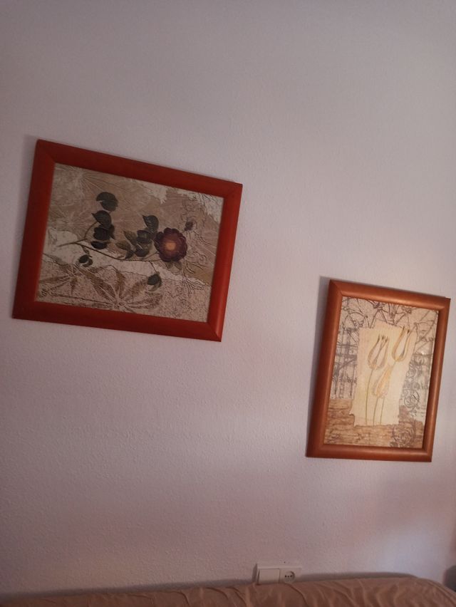 cuadros 10€ los dos