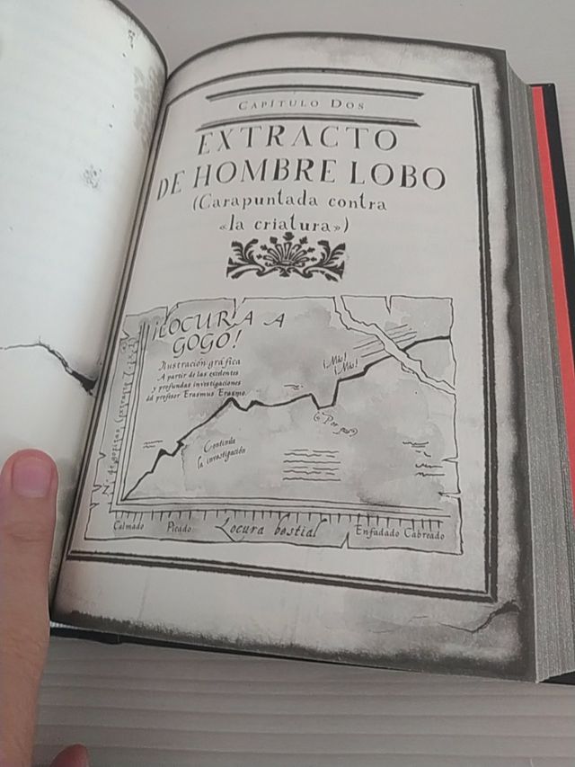 libro (la maravillosa historia de carapuntada)