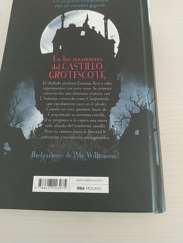 libro (la maravillosa historia de carapuntada)