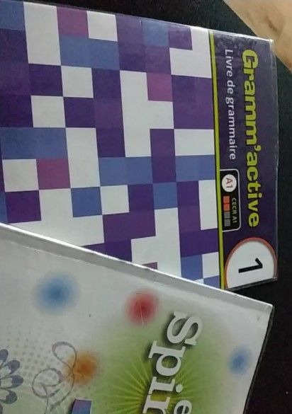 LIBRO FRANCESE IN SPIRALE 1ºESO