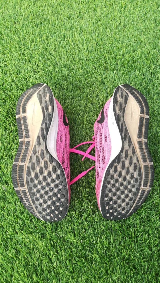 ZAPATILLAS NIKE PEGASUS