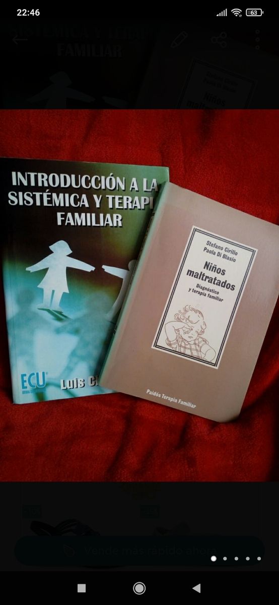 Libros (lote de 2)