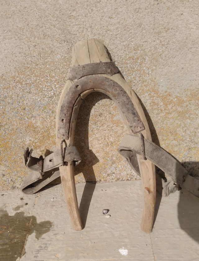 collaron o yugo  de labranza.