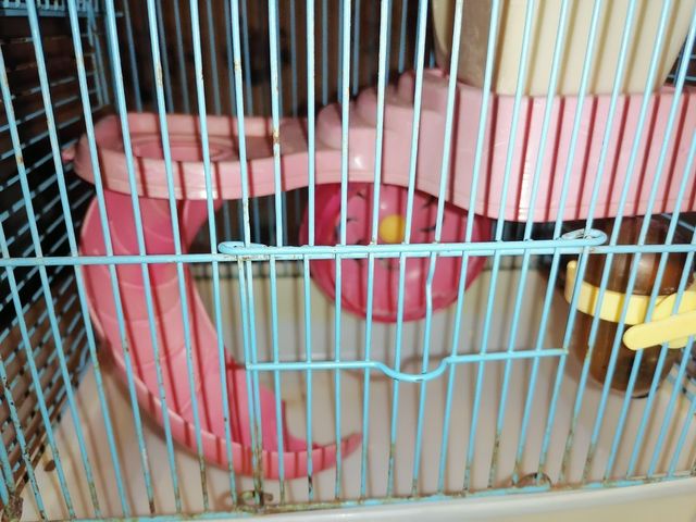 Jaula hamster, ratón, roedor