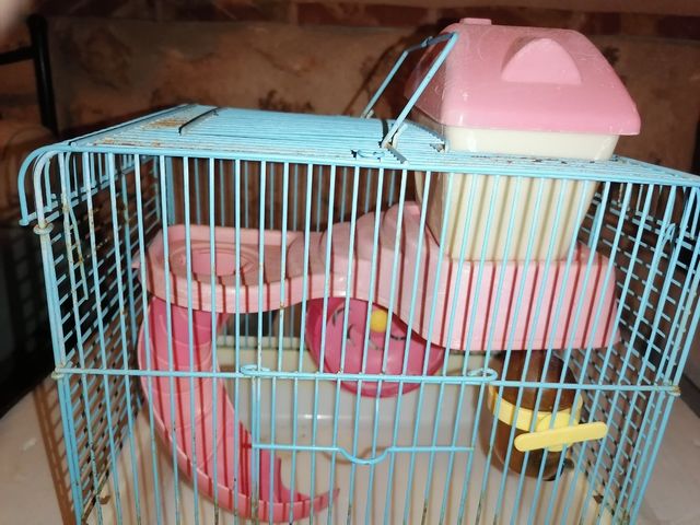 Jaula hamster, ratón, roedor