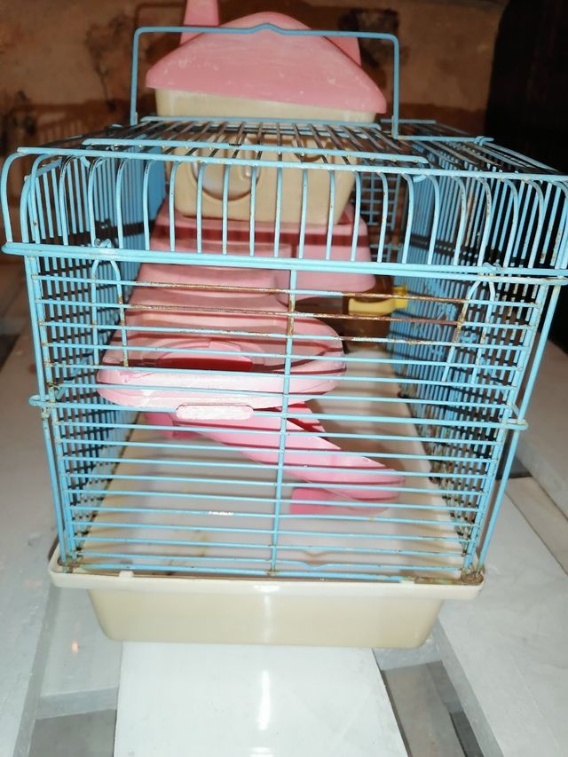 Jaula hamster, ratón, roedor