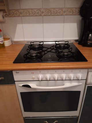 Placa Gas y horno de segunda mano por 180 EUR en Bilbao en WALLAPOP