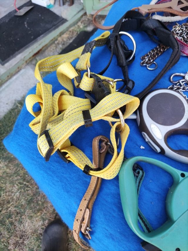 Artículos para Perros