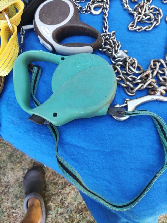 Artículos para Perros