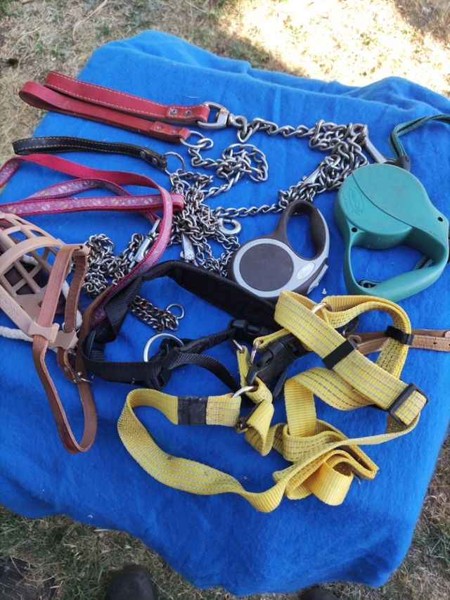 Artículos para Perros