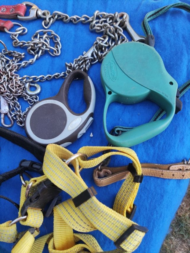 Artículos para Perros