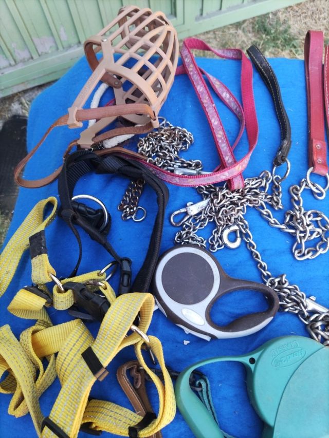 Artículos para Perros