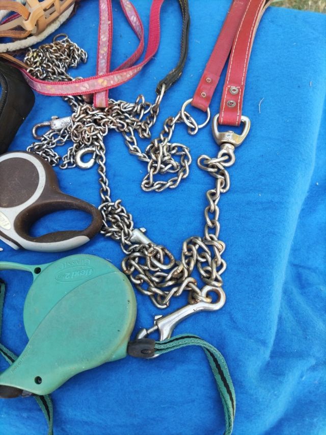 Artículos para Perros