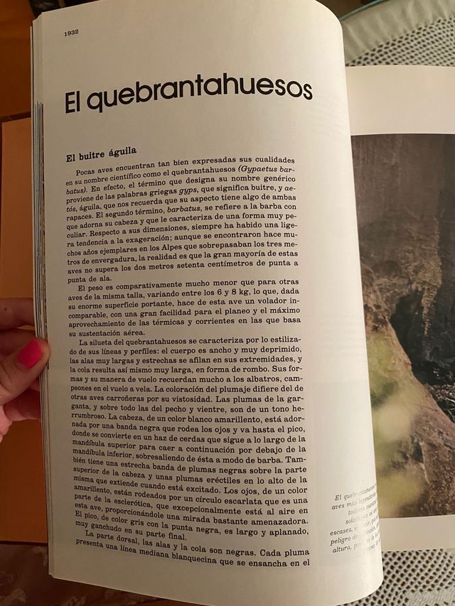 Colección Felix Rodriguez