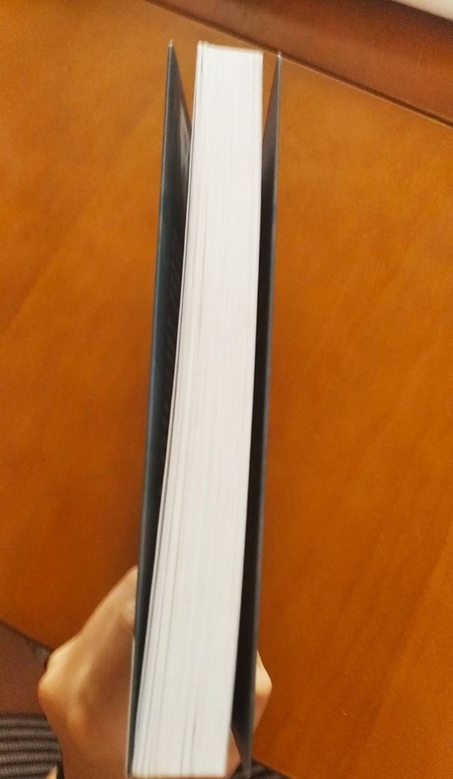 El libro de los quizás