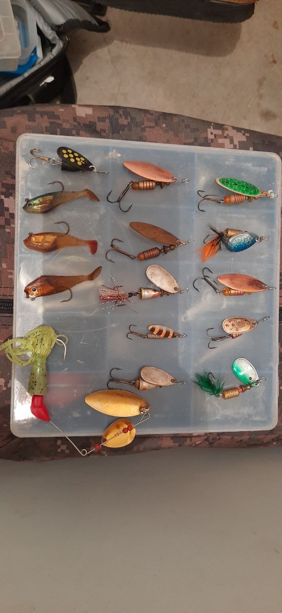 lote cucharillas trucha