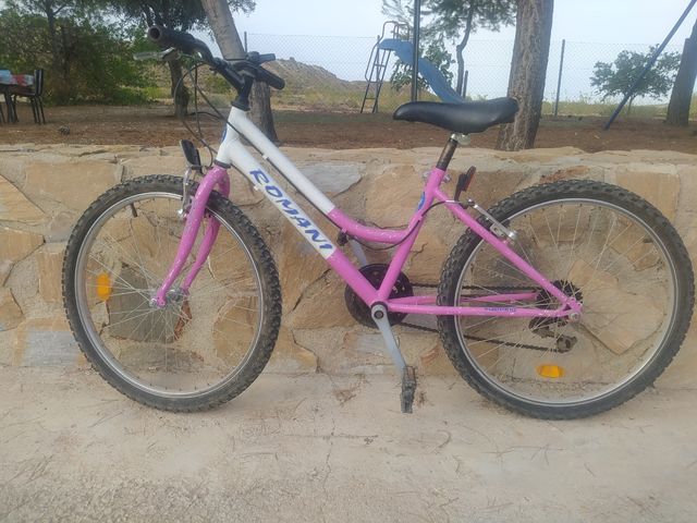 Bicicleta