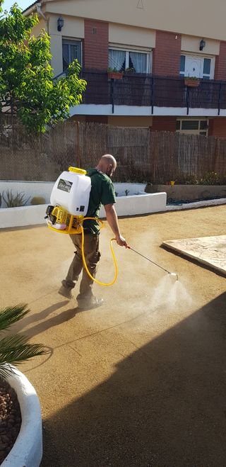 servicio de jardineria ,poda, tala , desbroce,