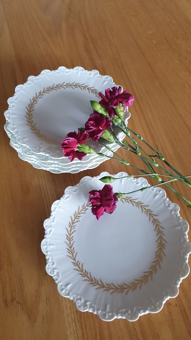 platos de porcelana Limoges