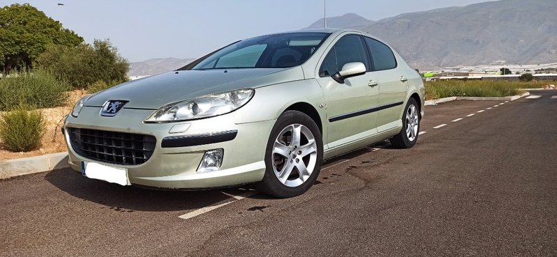 Peugeot 407 2005 - foto 1