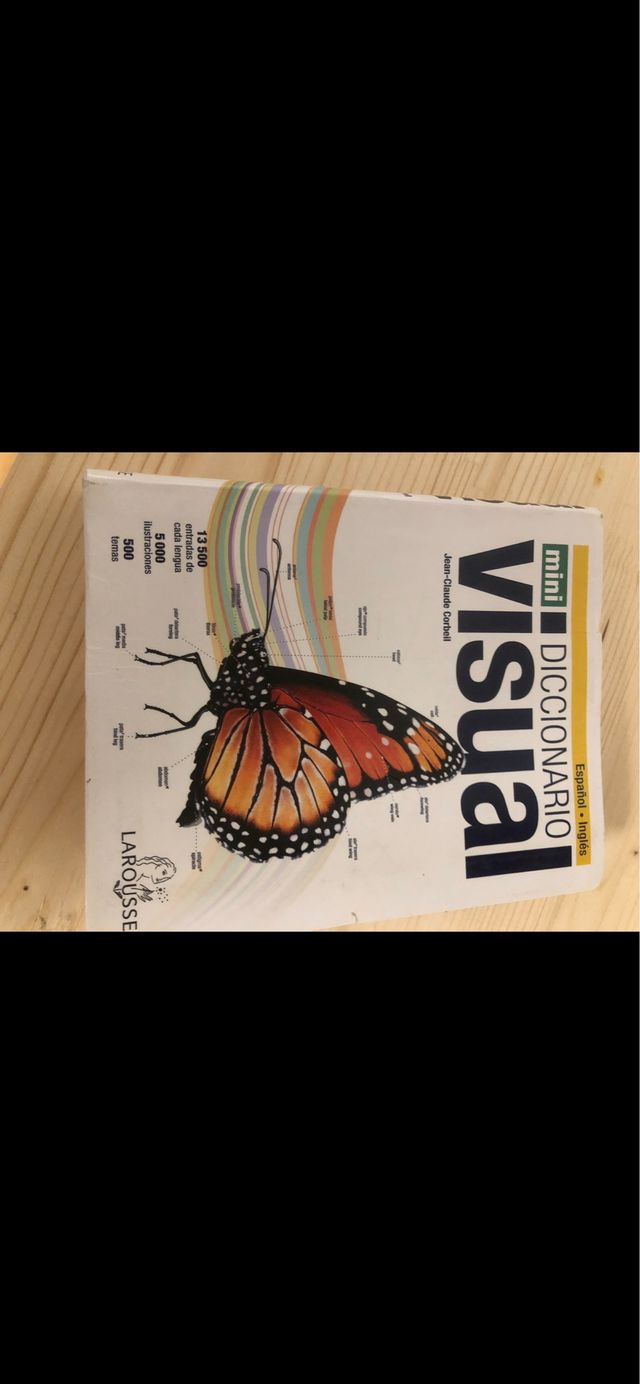 Mini Diccionario visual