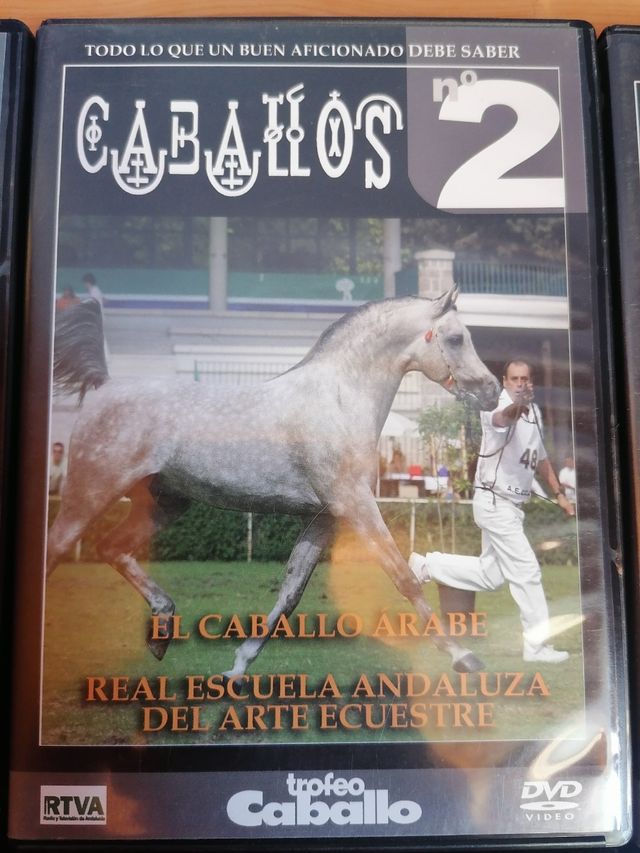 colección DVD "caballos"