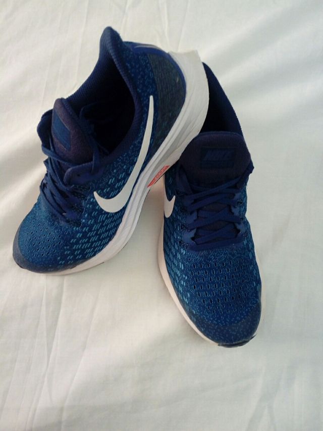 Zapatillas NIKE PEGASUS