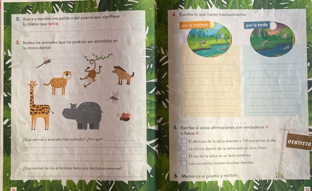 Lengua Castellana, 2º Primaria, Vicens Vives