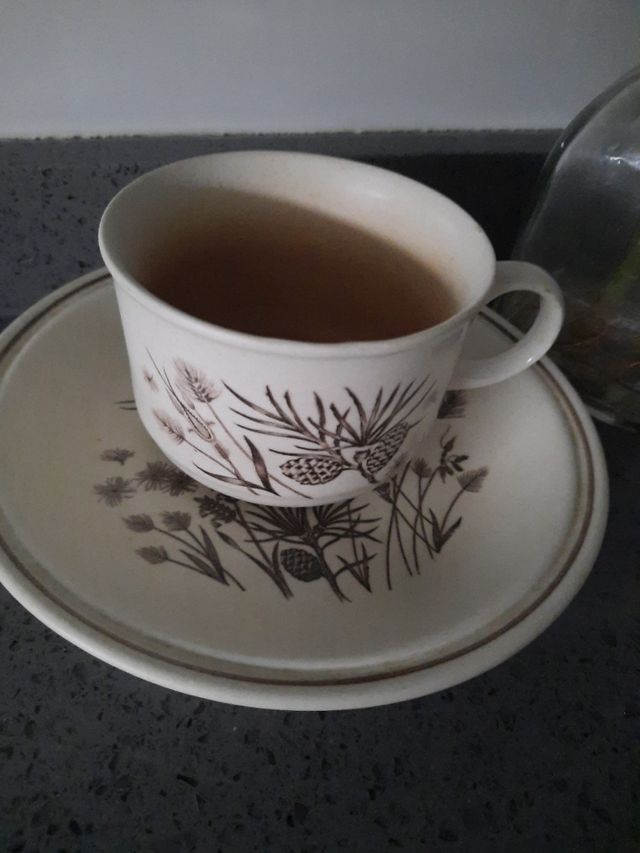 Louça vintage original “Pinewood"+ Gift 🎁