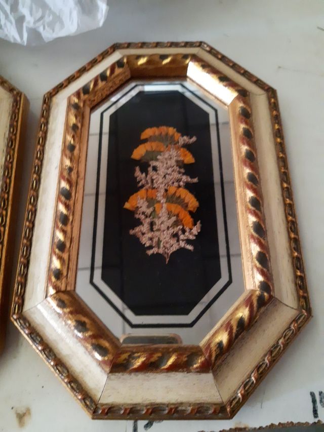 Cuadros flores secas