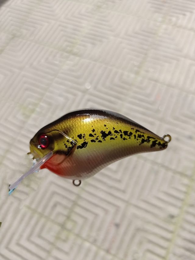 Se venden señuelos de pesca!