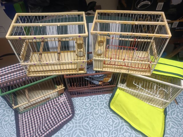 jaulas de pajaro