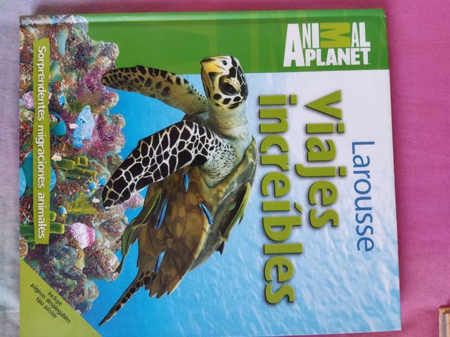 Viajes increíbles. Asombrosas migraciones animales