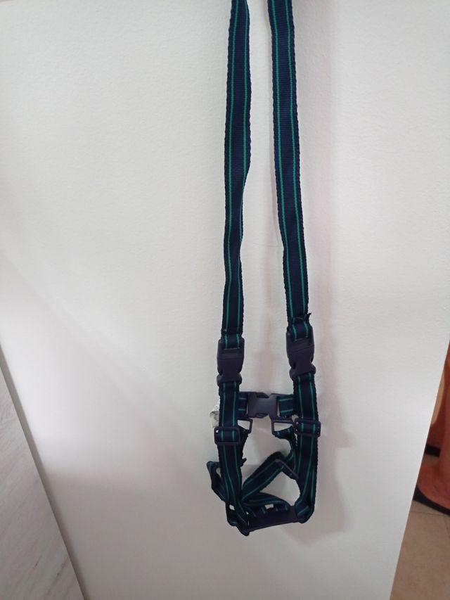 Arnés primeros pasos