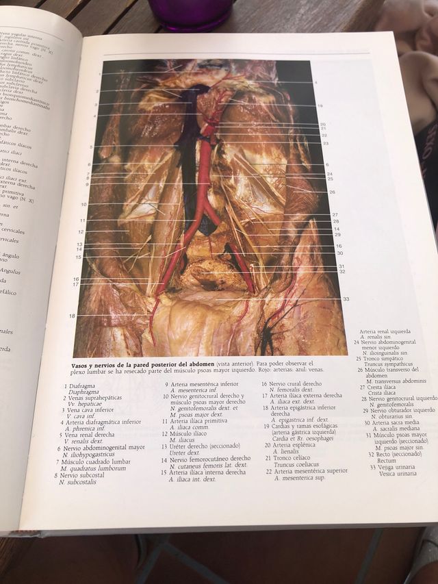 Atlas Fotográfico de anatomía humana