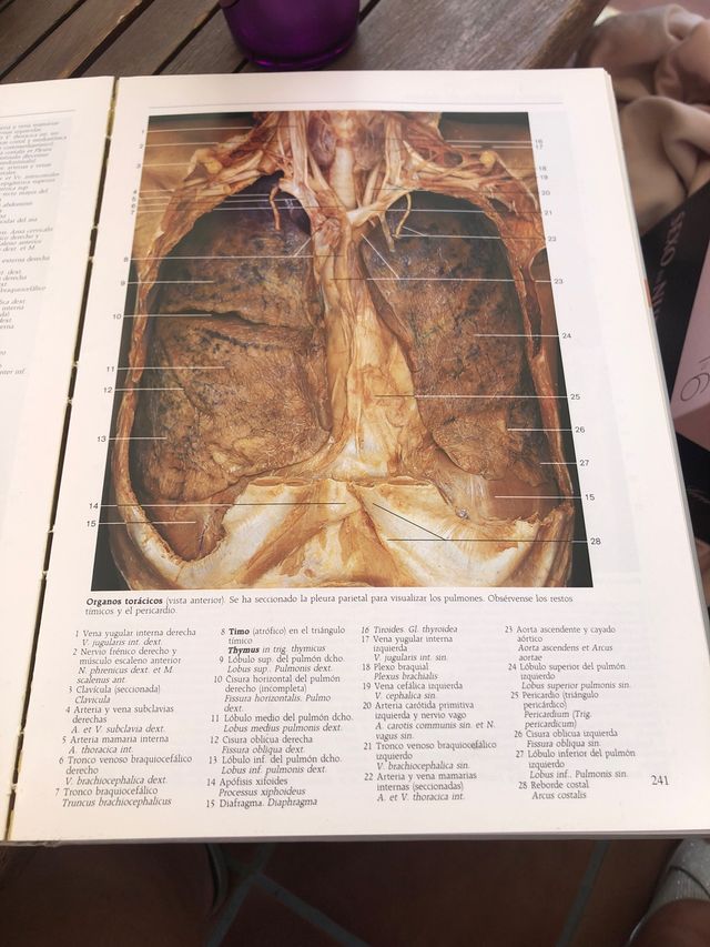 Atlas Fotográfico de anatomía humana
