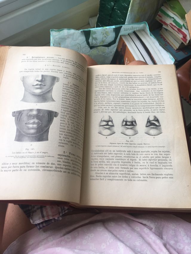 Anatomia topográfica