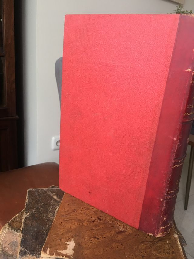 Anatomia topográfica