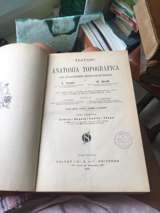 Anatomia topográfica